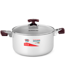 SUNHOUSE anodized single pot SH8833-24EBN