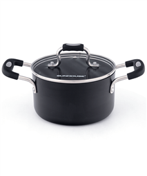 SUNHOUSE anodized single pot SP38120
