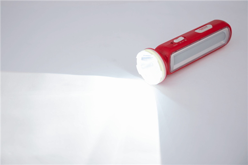 den-pin-sunhouse-she4316_004.png