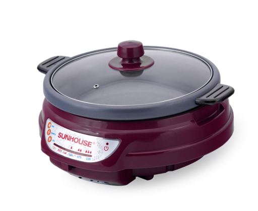 Electric Fondue Pot